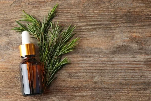 زيت الشاي الأخضر