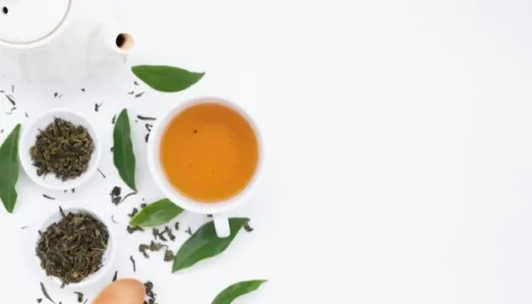 الشاي الأخضر للحامل