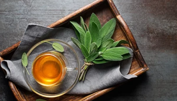 يوضع كوب زجاجي ساخن من شاي الأعشاب على صينية خشبية، مصحوبًا بأوراق مريمية طازجة ومنديل رمادي اللون، وكل ذلك على خلفية داكنة غنية.