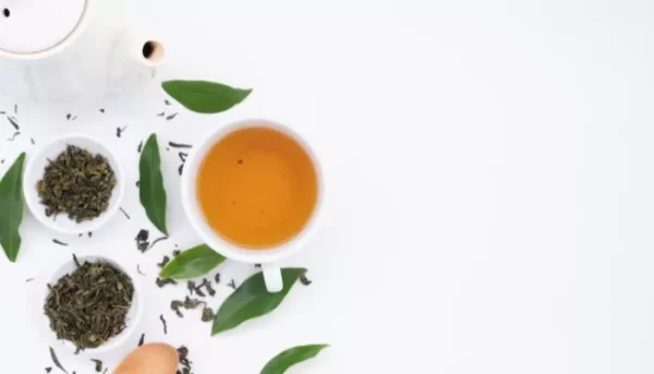 كوب من الشاي المصنوع من أوراق الشاي السائبة، مصحوبًا بأوراق خضراء طازجة وإبريق شاي أبيض، على خلفية بيضاء نقية.